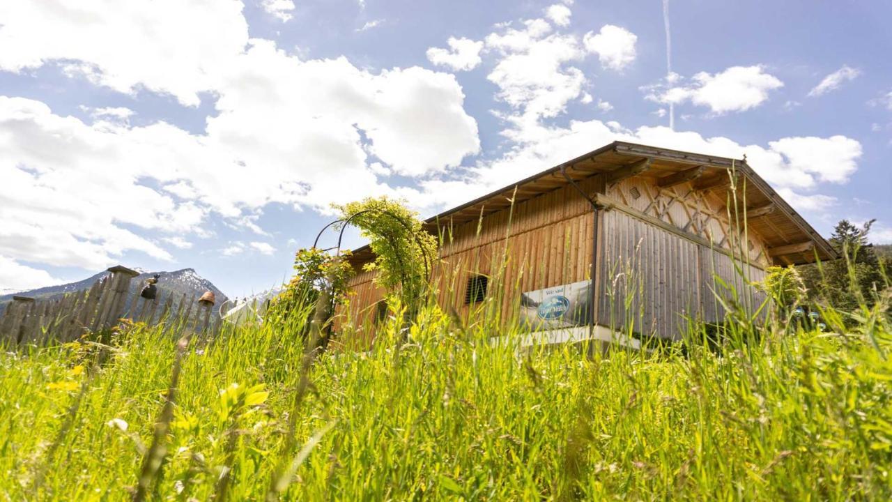 Stubaier Bauern Appartement Telfes im Stubai Exterior photo